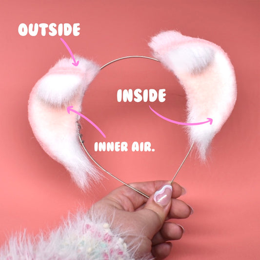 Ferret / Bear Ears (Build Your Own)