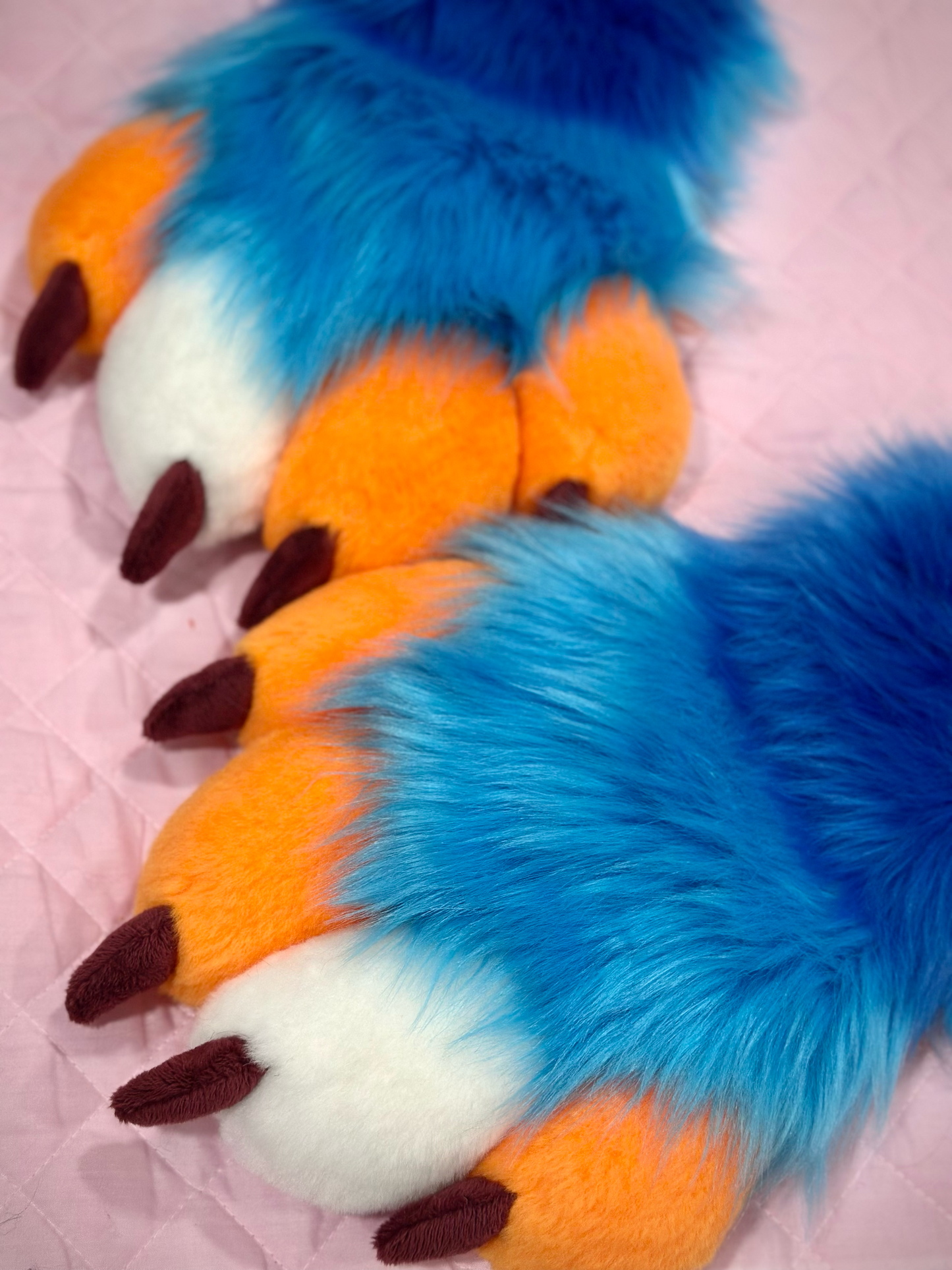 Surf n Turf Wolf Mini Partial